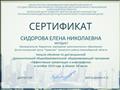 Сертификат Министерства образования Новосибирской области, Государственного автономного учреждения дополнительного образования Новосибирской области "Областной центр развития творчества детей и юношества", Регионального модельного центра дополнительного образования детей. Прошла обучение по дистанционной дополнительной общеобразовательной общеразвивающей программе "Эффективные презентации и инфографика" в октябре 2019 года в объёме 36 часов (7-11 октября 2019 года) Сертификат Министерства образования Новосибирской области, Государственного автономного учреждения дополнительного образования Новосибирской области "Областной центр развития творчества детей и юношества", Регионального модельного центра дополнительного образования детей. Прошла обучение по дистанционной дополнительной общеобразовательной общеразвивающей программе "Эффективные презентации и инфографика" в октябре 2019 года в объёме 36 часов (7-11 октября 2019 года)